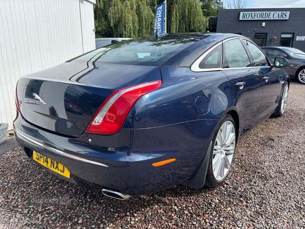 Used Jaguar XJ 2014 for sale - 75388757: Photo 4