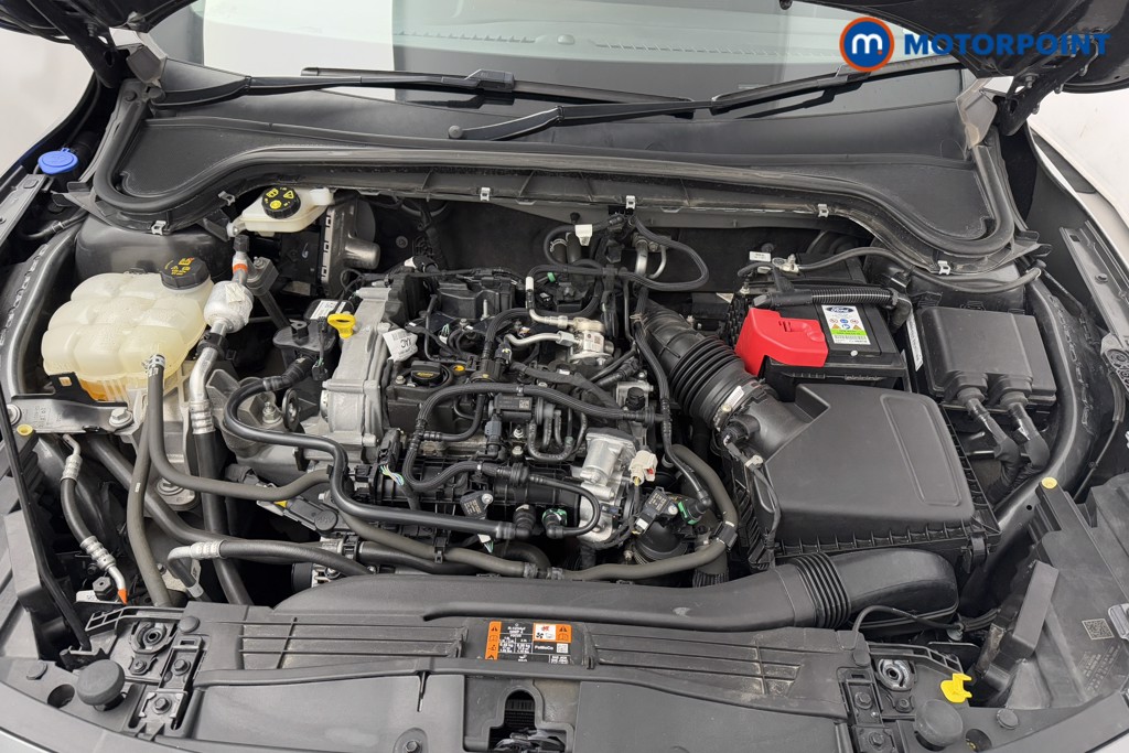Used Ford Focus 2023 for sale - 76367176: Photo 35
