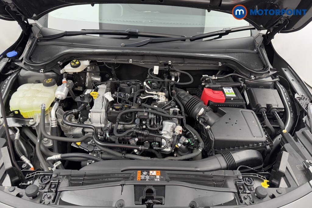 Used Ford Focus 2023 for sale - 76028609: Photo 36