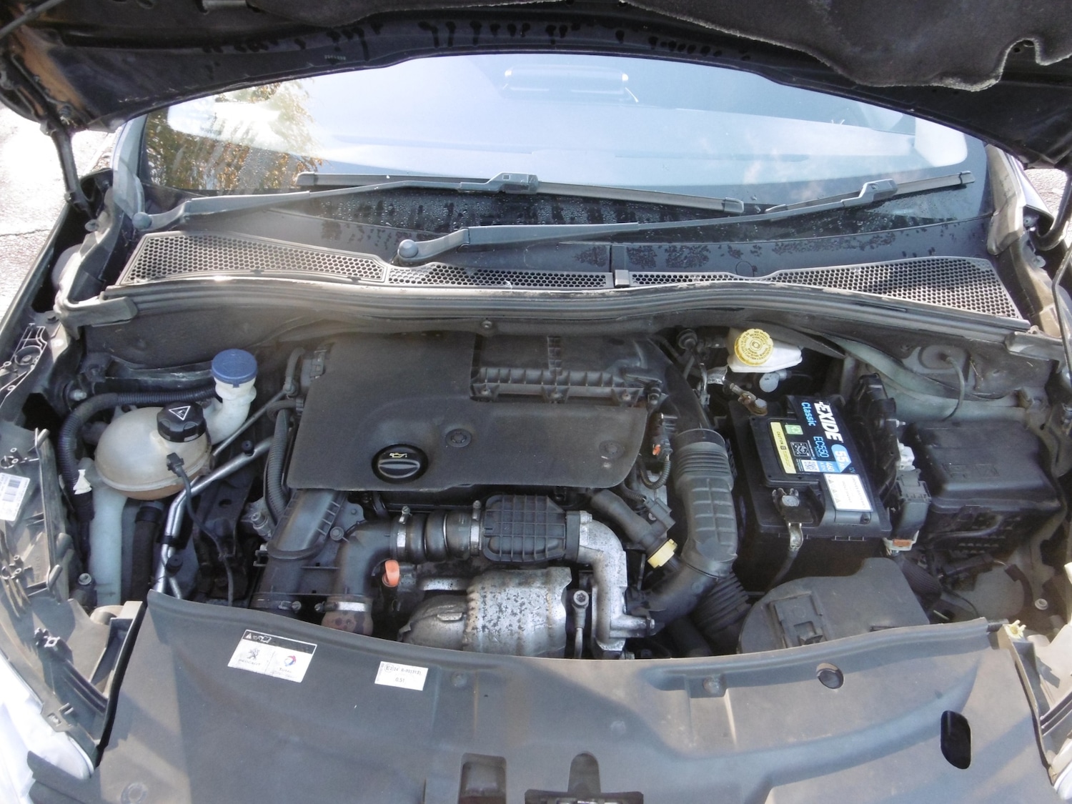 Used Peugeot 2008 2016 for sale - 76309674: Photo 4