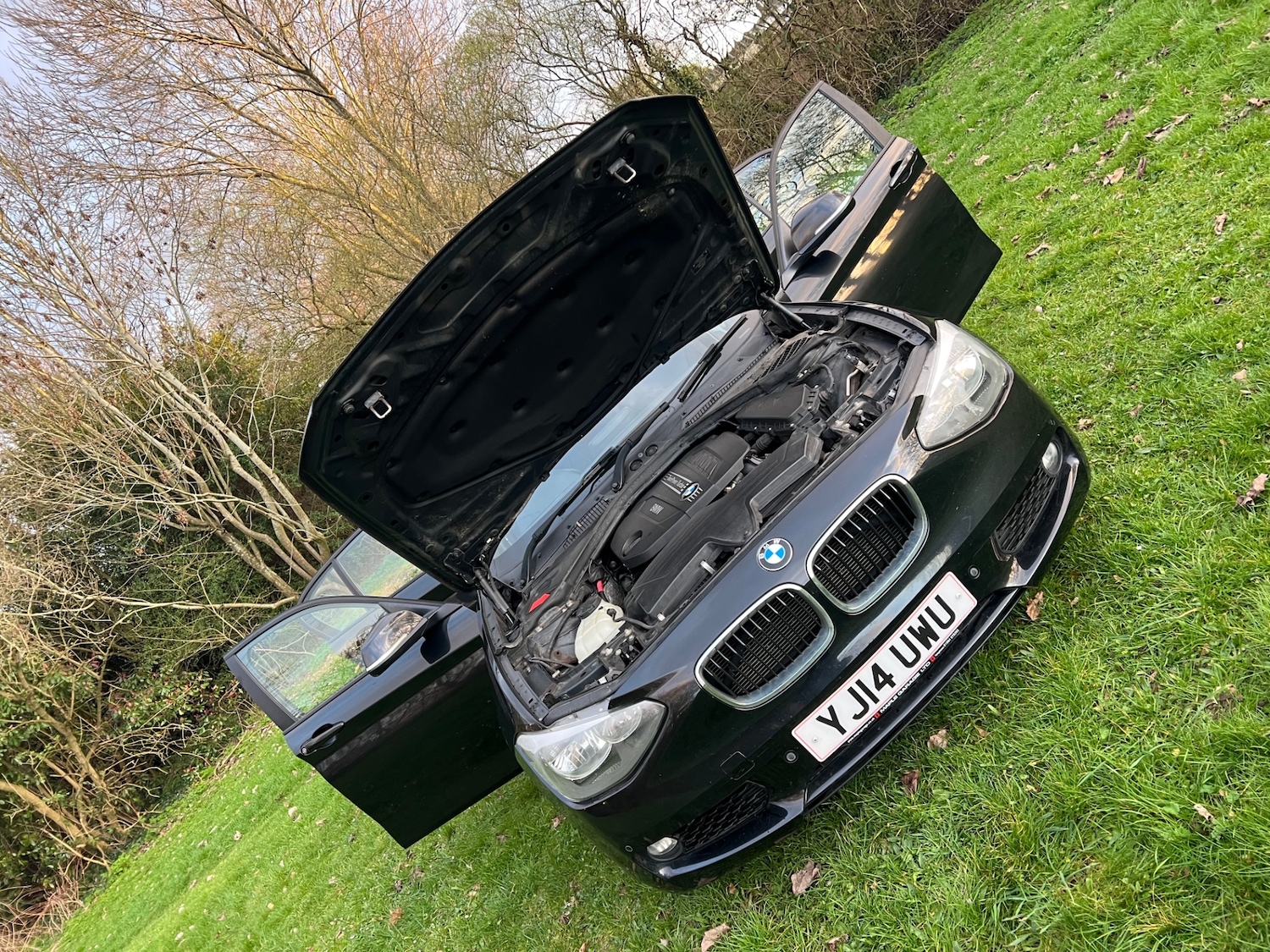 Used BMW 1 Series 2014 for sale - 77584213: Photo 18