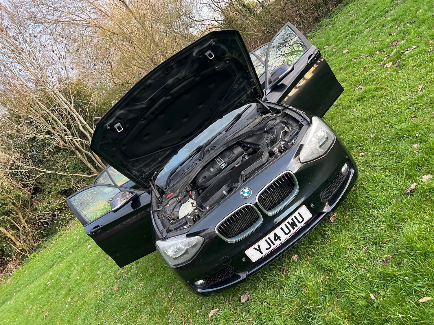 Used BMW 1 Series 2014 for sale - 77584213: Photo 19