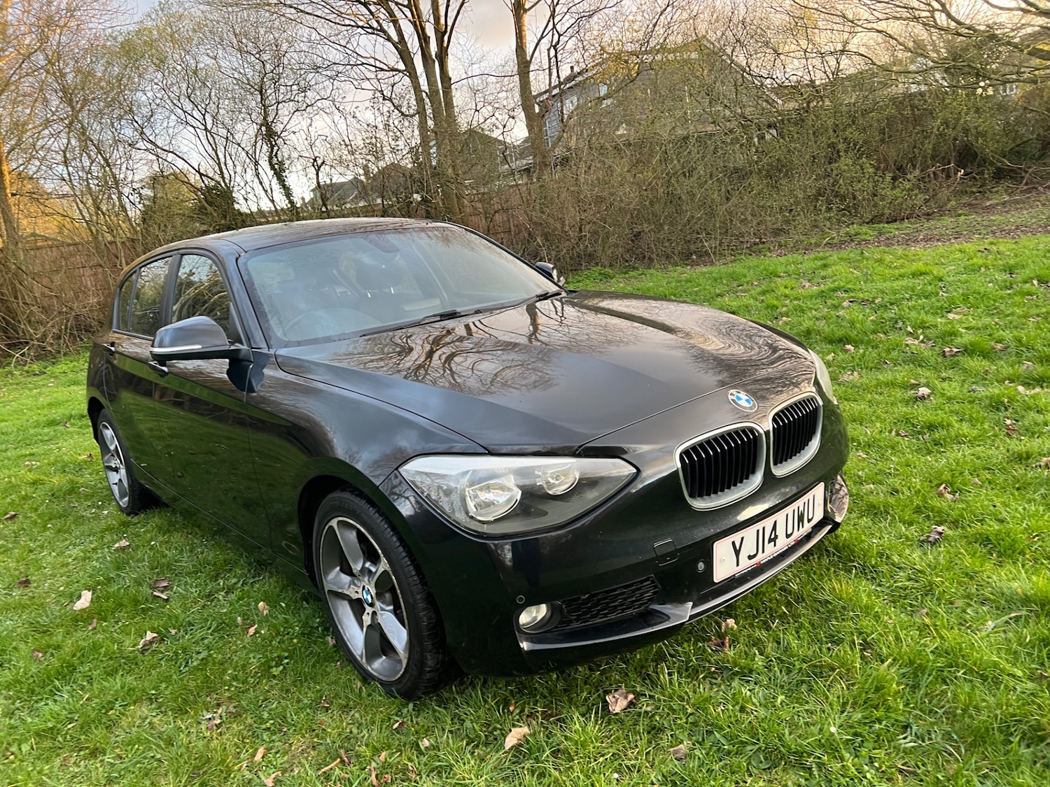 Used BMW 1 Series 2014 for sale - 77584213: Photo 44