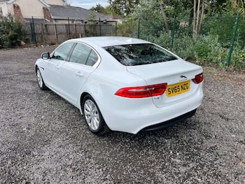 Used Jaguar XE 2015 for sale - 79807235: Photo