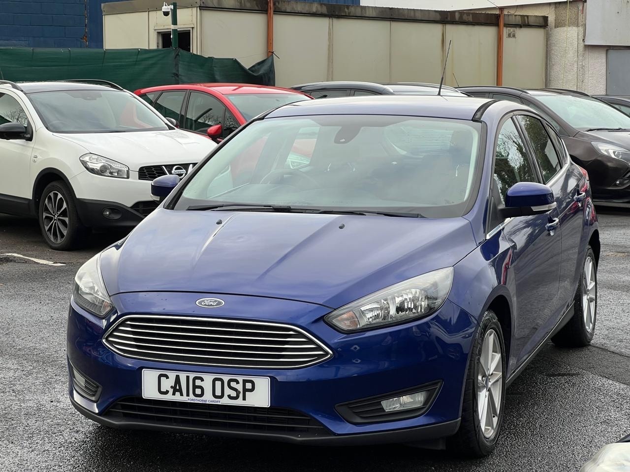 Used Ford Focus 2016 for sale - 77782140: Photo 10