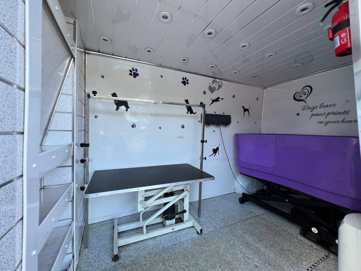 2010 60 RENAULT MASTER
