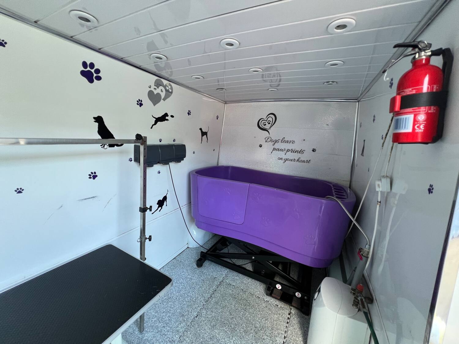 2010 60 RENAULT MASTER