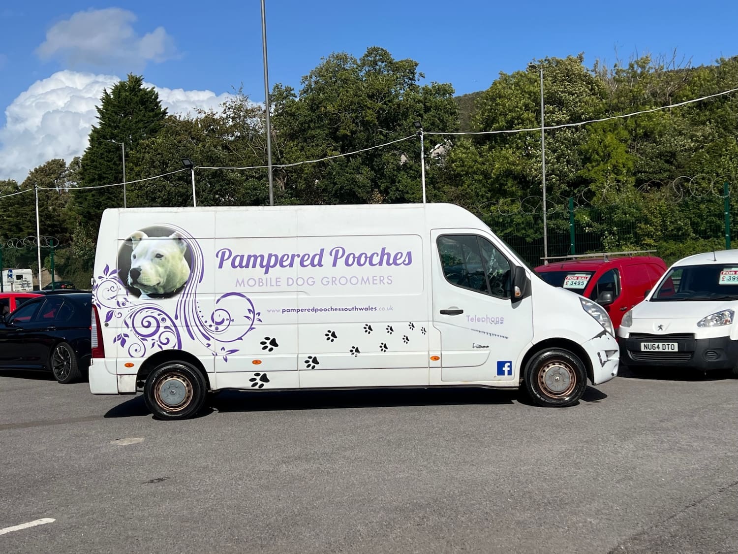 2010 60 RENAULT MASTER