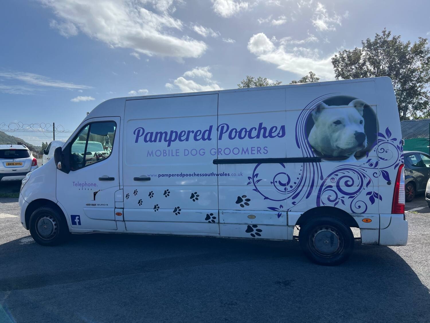2010 60 RENAULT MASTER
