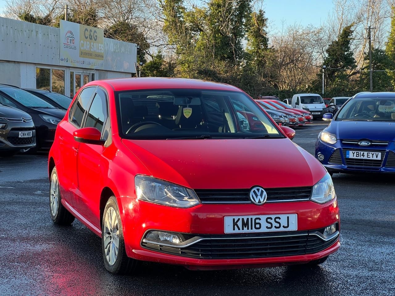 Used Volkswagen Polo 2016 for sale - 77116299: Photo 13
