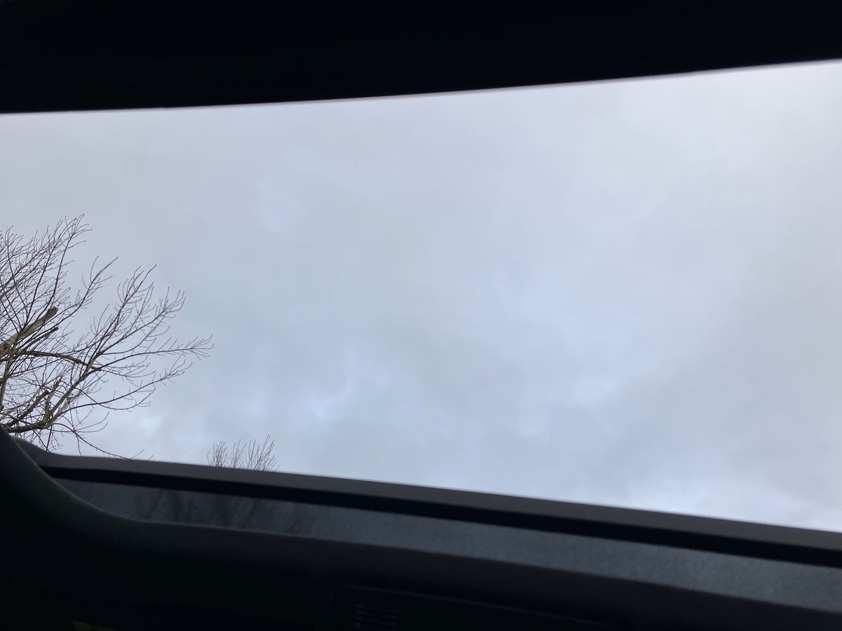 Used SEAT Ibiza 2025 for sale - 77113620: Photo 32