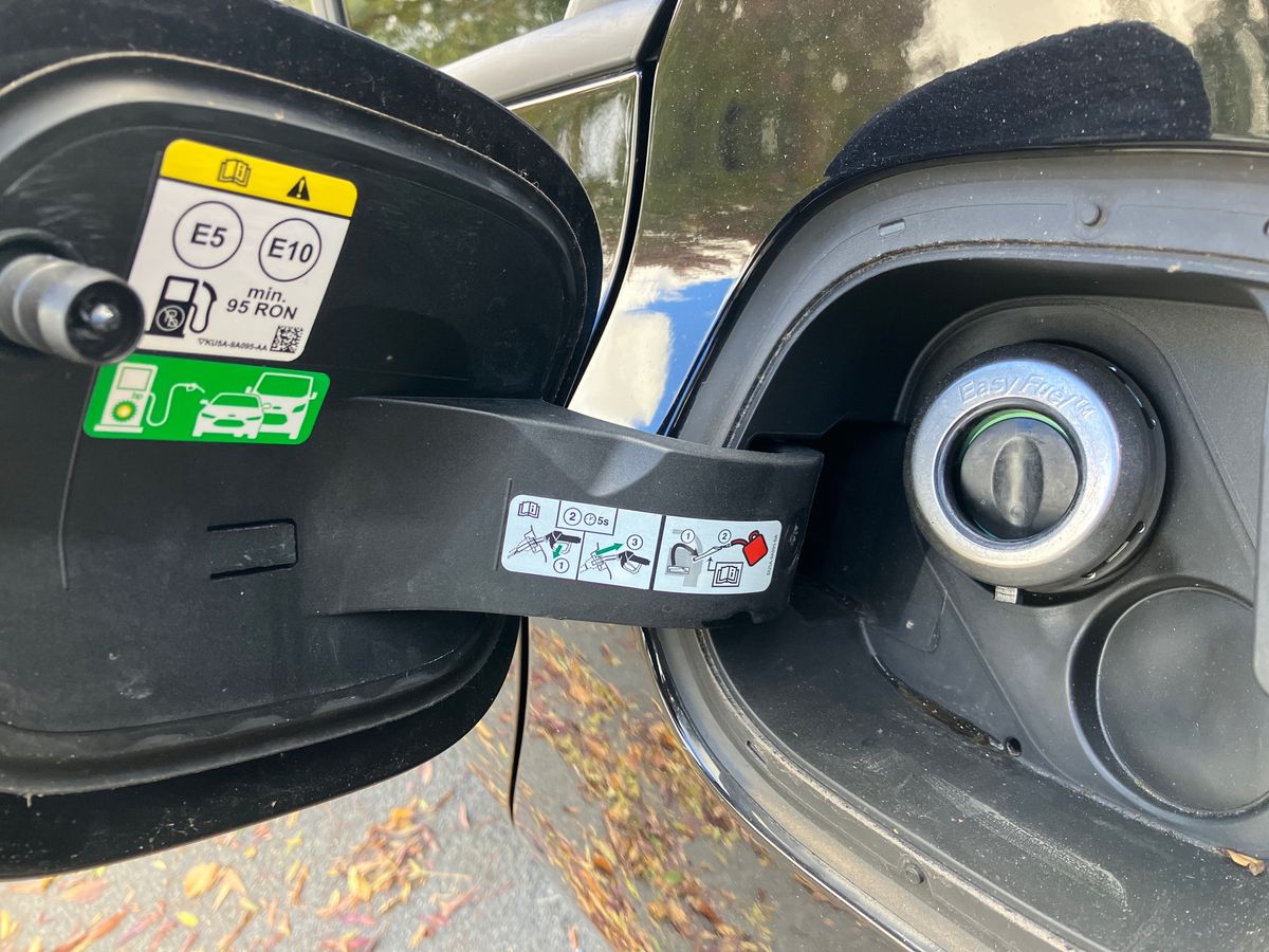 Used Ford Focus 2024 for sale - 76288206: Photo 25