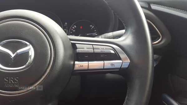 Vehicle 30