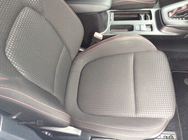 Used Ford Focus 2024 for sale - 76153311: Photo 13