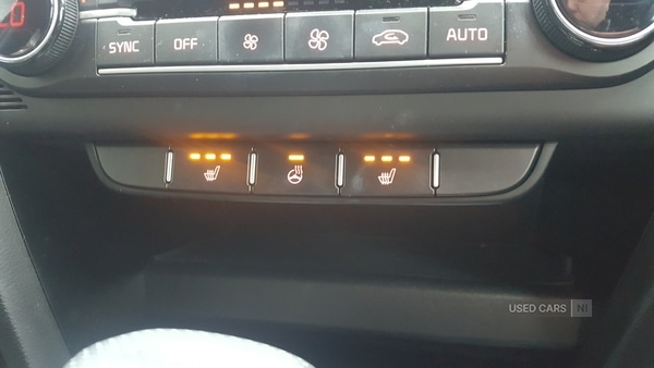 Used Kia Pro Ceed 2023 for sale - 77551117: Photo 15