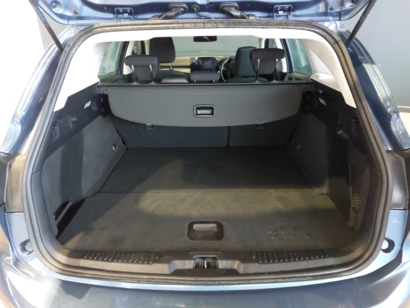 Used Ford Focus 2023 for sale - 77366179: Photo 8