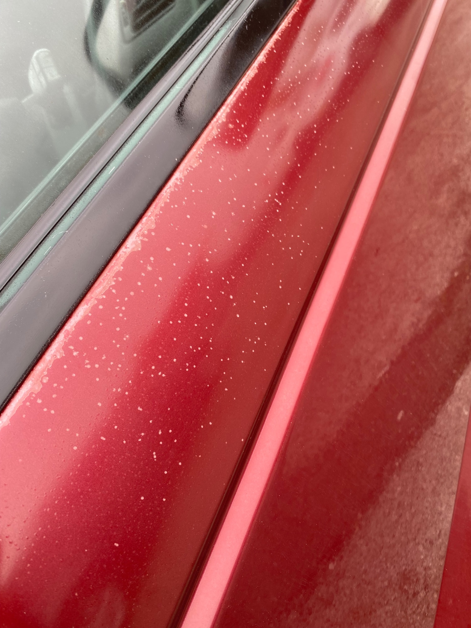 Used Land Rover Range Rover 2001 for sale - 76265848: Photo 8