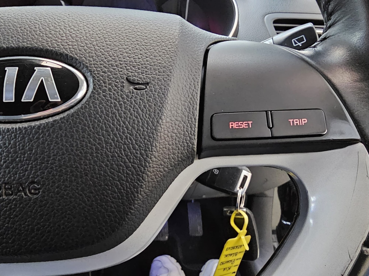 Used Kia Picanto 2015 for sale - 76079706: Photo 15