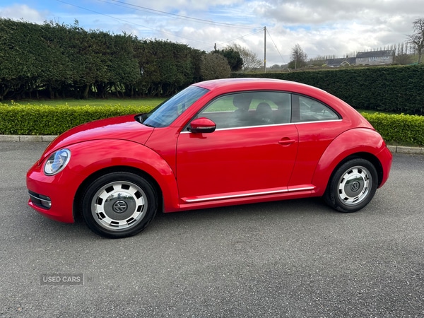 Used Volkswagen Beetle 2014 for sale - 77910028: Photo 4