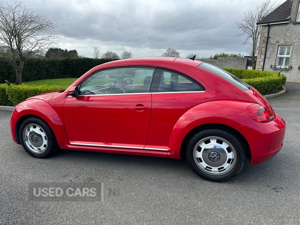 Used Volkswagen Beetle 2014 for sale - 77910028: Photo 7
