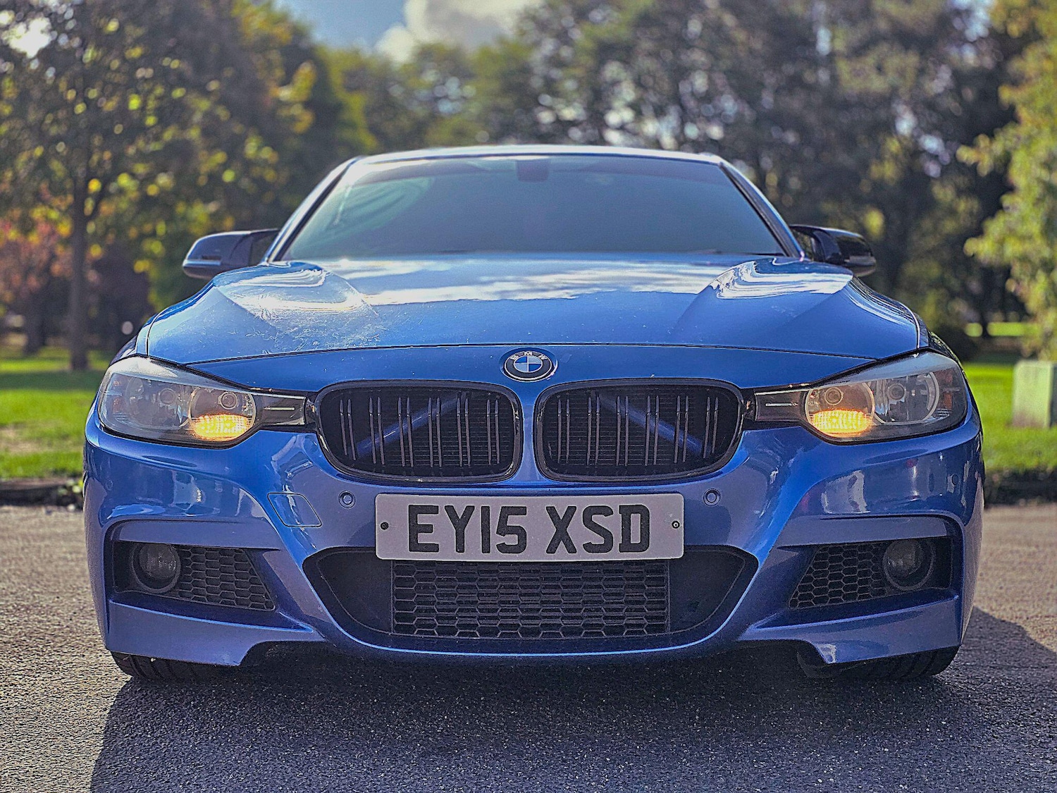 Used BMW 3 Series 2015 for sale - 76839641: Photo 3