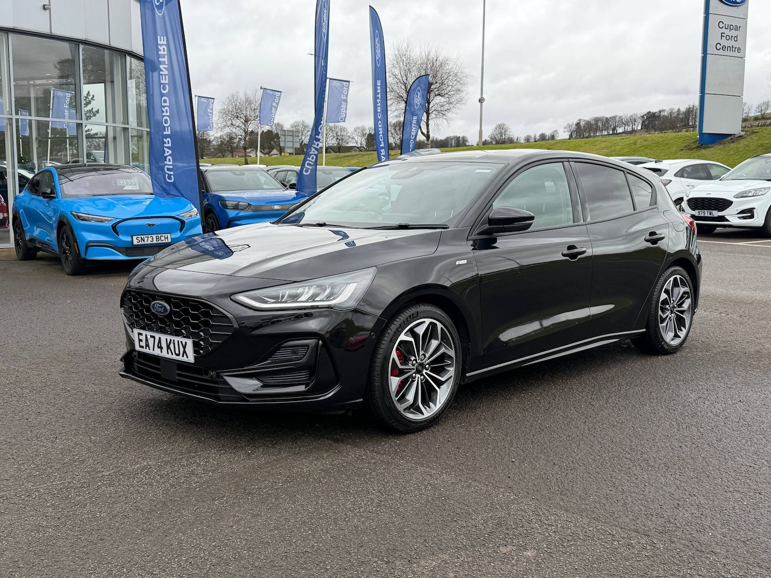 Used Ford Focus 2024 for sale - 77679789: Photo 10