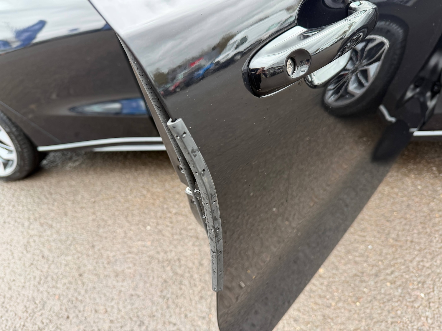 Used Ford Focus 2024 for sale - 77679789: Photo 12