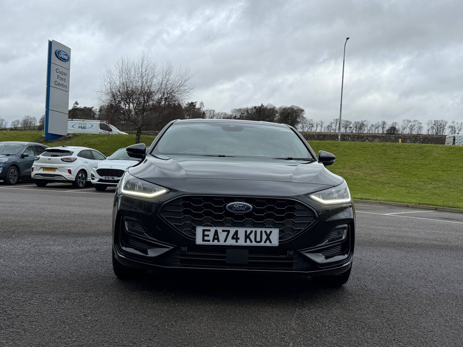 Used Ford Focus 2024 for sale - 77679789: Photo 3