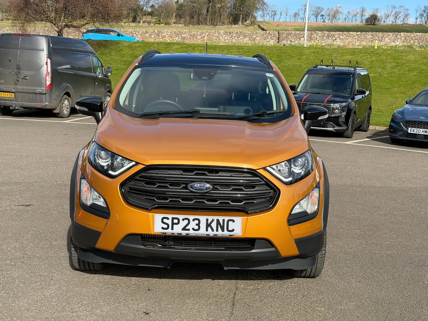 Used Ford Ecosport 2023 for sale - 78011342: Photo 3