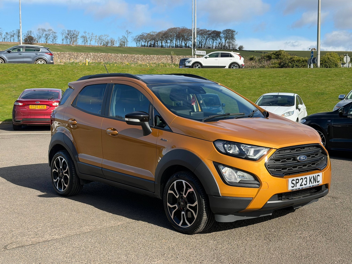 Used Ford Ecosport 2023 for sale - 78011342: Photo 4