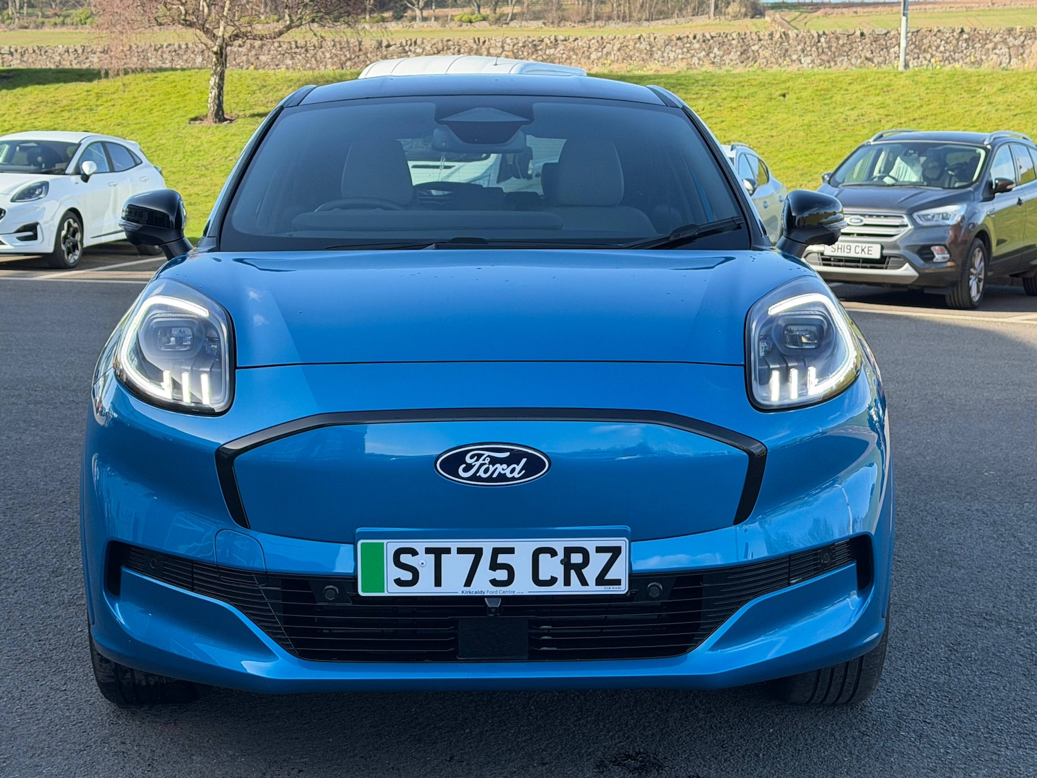 Used Ford Puma 2025 for sale - 77836180: Photo 4