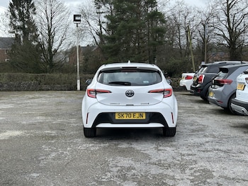 Used Toyota Corolla 2020 for sale - 77915751: Photo