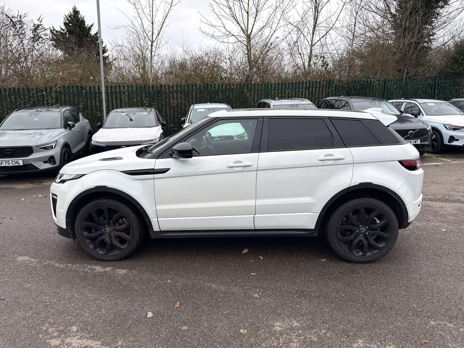 Used Land Rover Range Rover Evoque 2017 for sale - 77143159: Photo 3