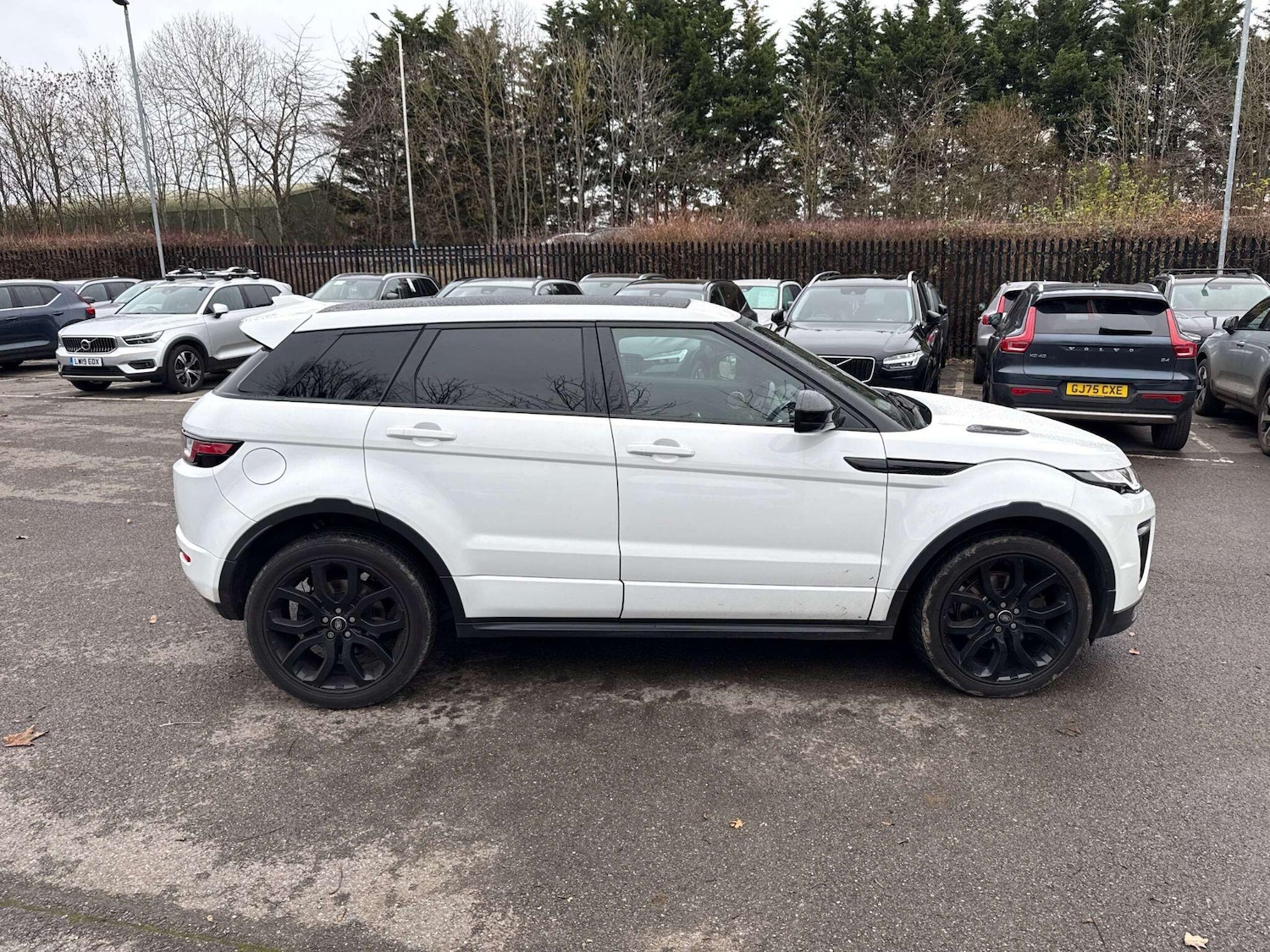 Used Land Rover Range Rover Evoque 2017 for sale - 77143159: Photo 5