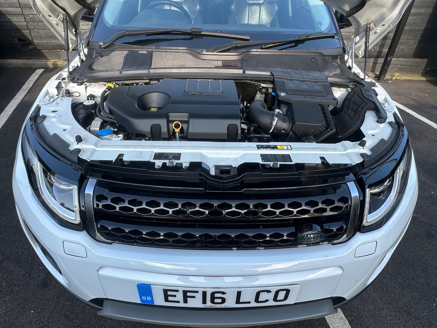 Vehicle 39