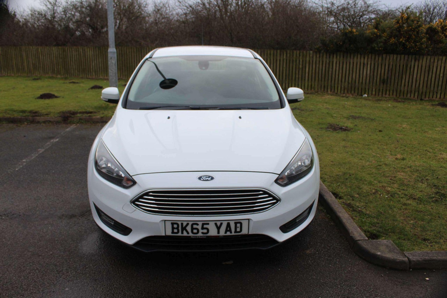 Used Ford Focus for sale - 77710573: Photo 4