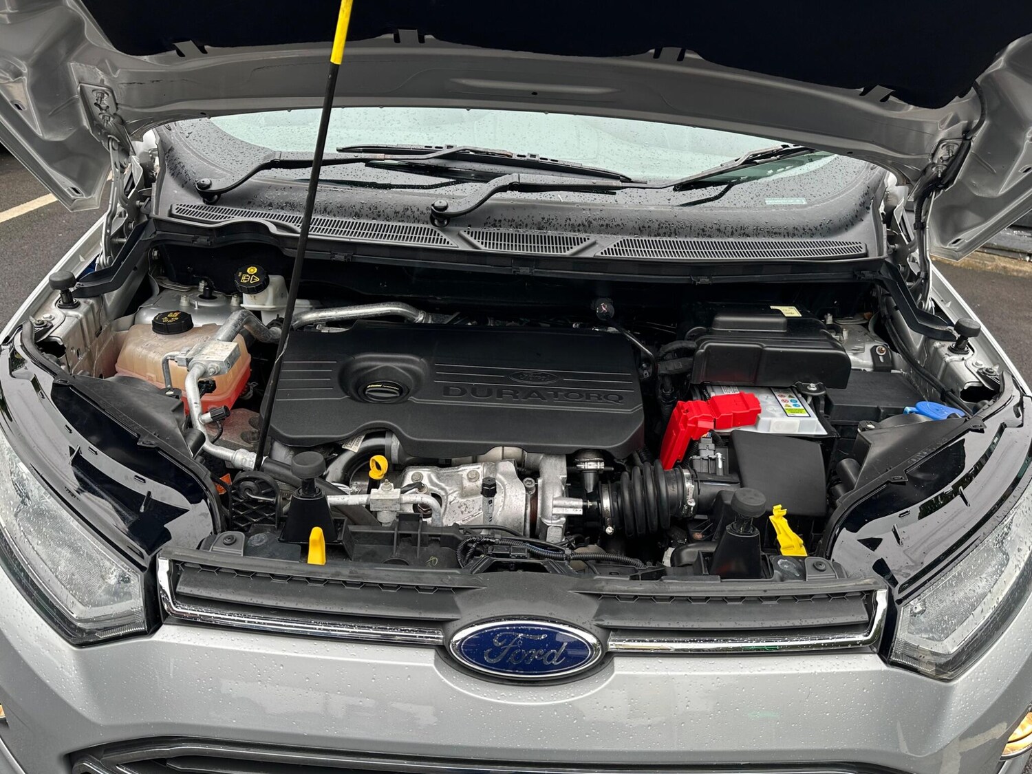 Used Ford Ecosport 2016 for sale - 75769883: Photo 51