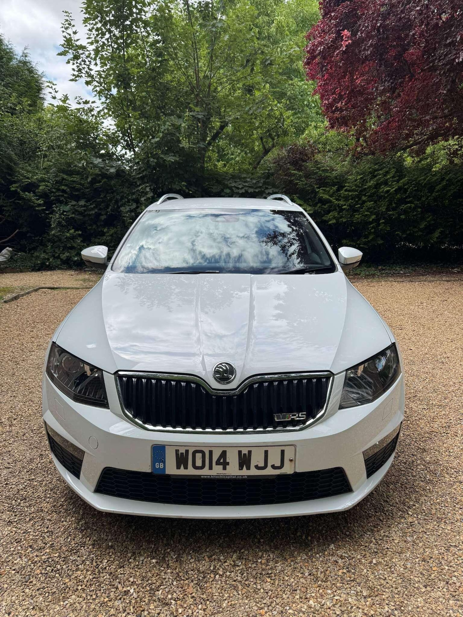 Used Skoda Octavia 2014 for sale - 76759517: Photo 5