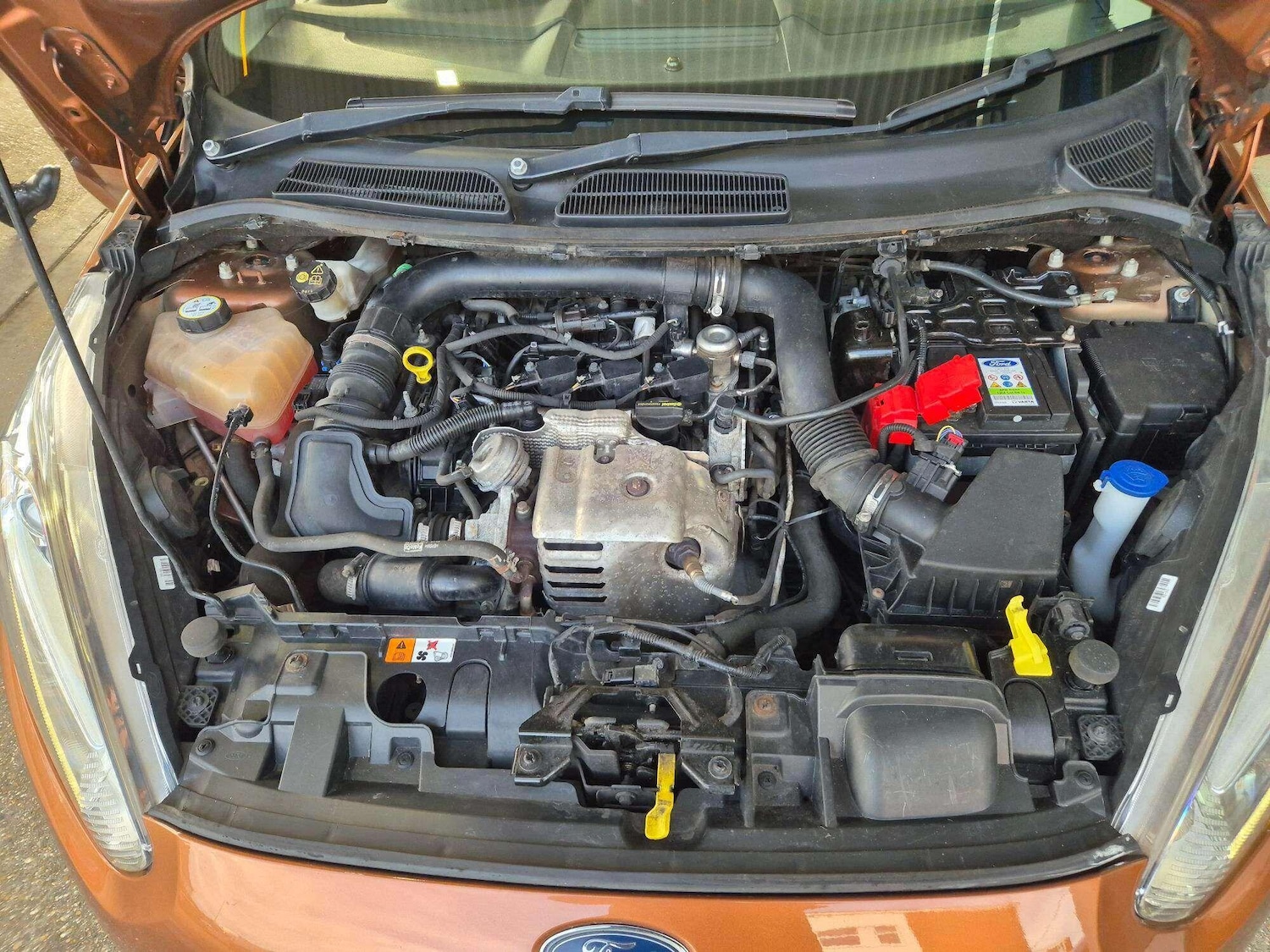 Used Ford Fiesta 2015 for sale - 77202897: Photo 12