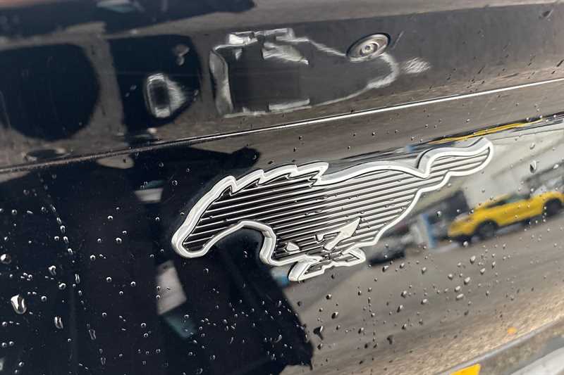 Used Ford Mustang Mach-E 2021 for sale - 76636145: Photo 49