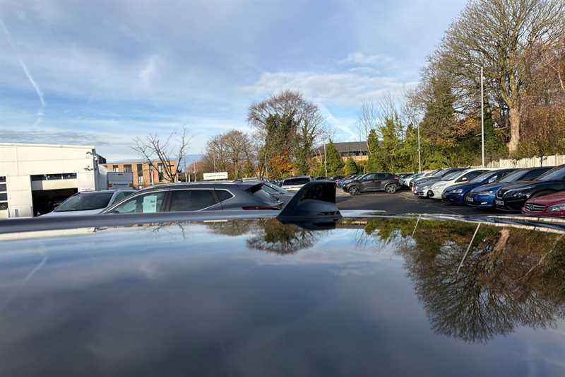 Used Nissan Juke 2024 for sale - 76593851: Photo 37