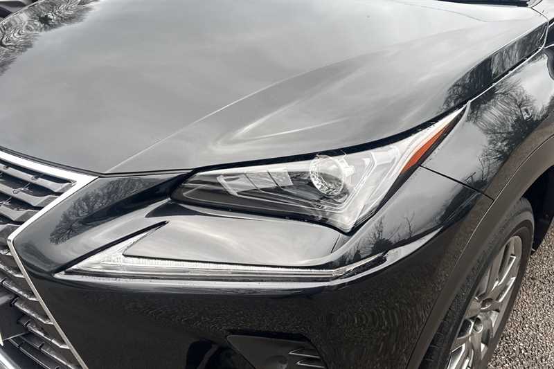 Used Lexus NX for sale - 77480376: Photo 13