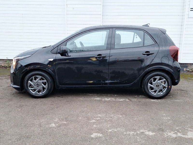 Used Kia Picanto 2025 for sale - 77428694: Photo 4