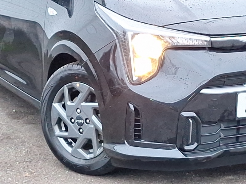 Used Kia Picanto 2025 for sale - 77428694: Photo 9