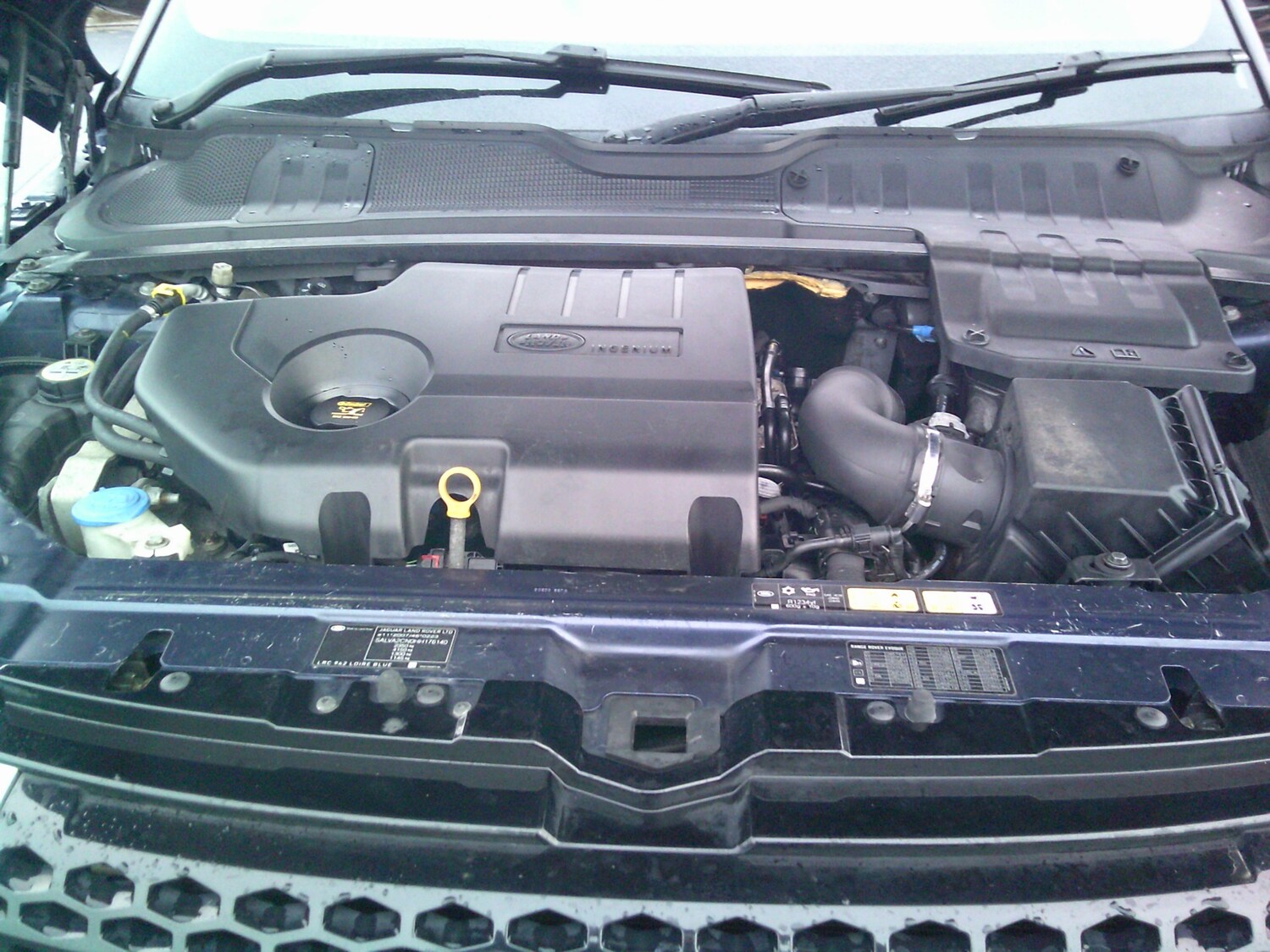 Used Land Rover Range Rover Evoque 2016 for sale - 77432943: Photo 21