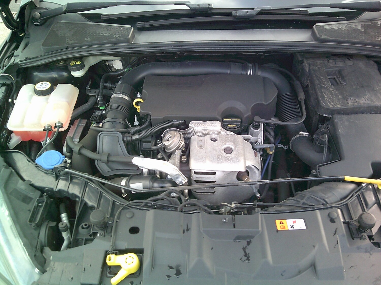 Used Ford Focus 2015 for sale - 77555367: Photo 17