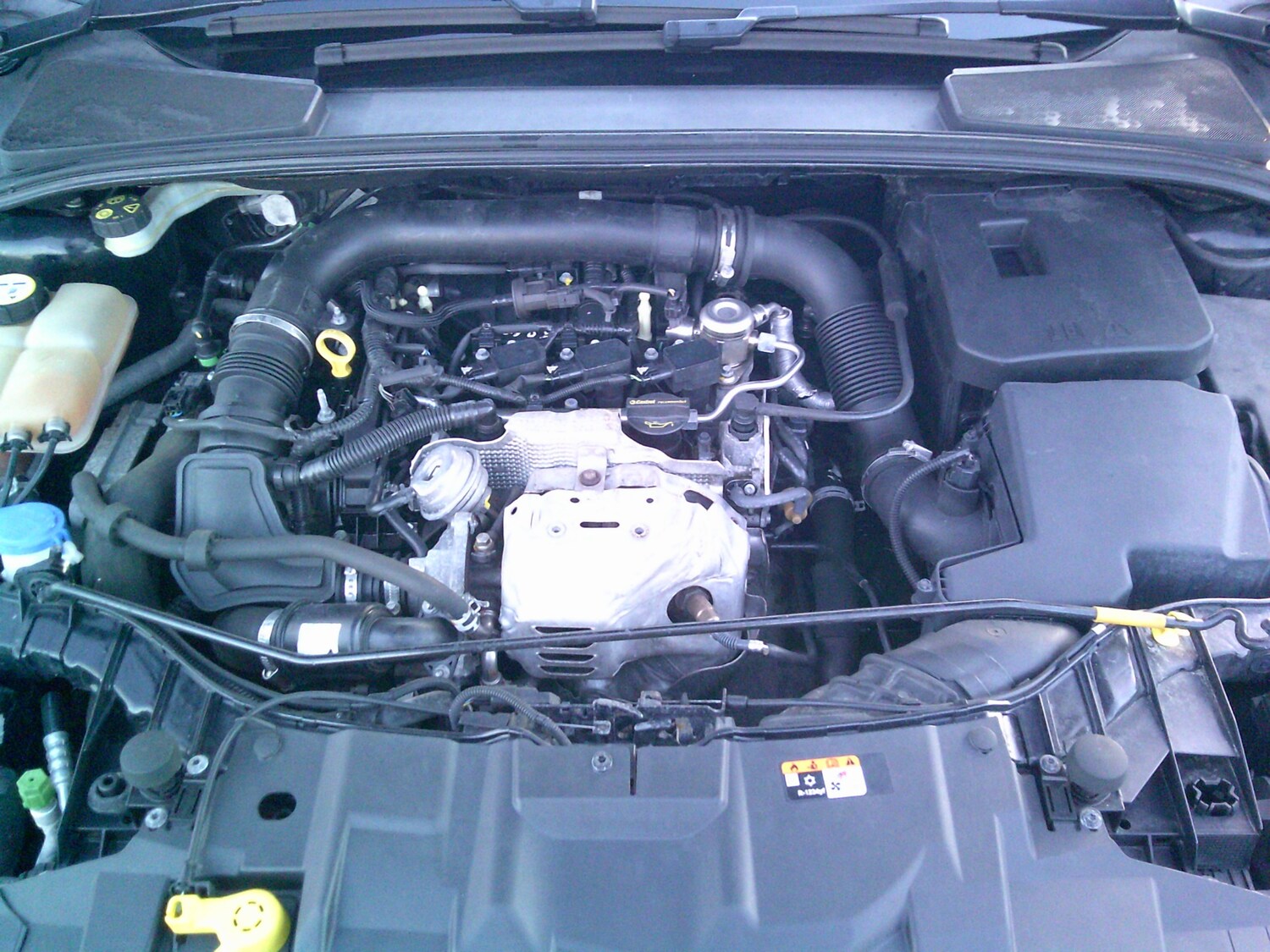 Used Ford Focus 2017 for sale - 77819064: Photo 17