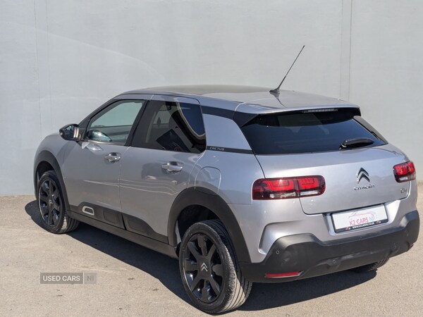 Used Citroen C4 Cactus 2019 for sale - 74373120: Photo 6