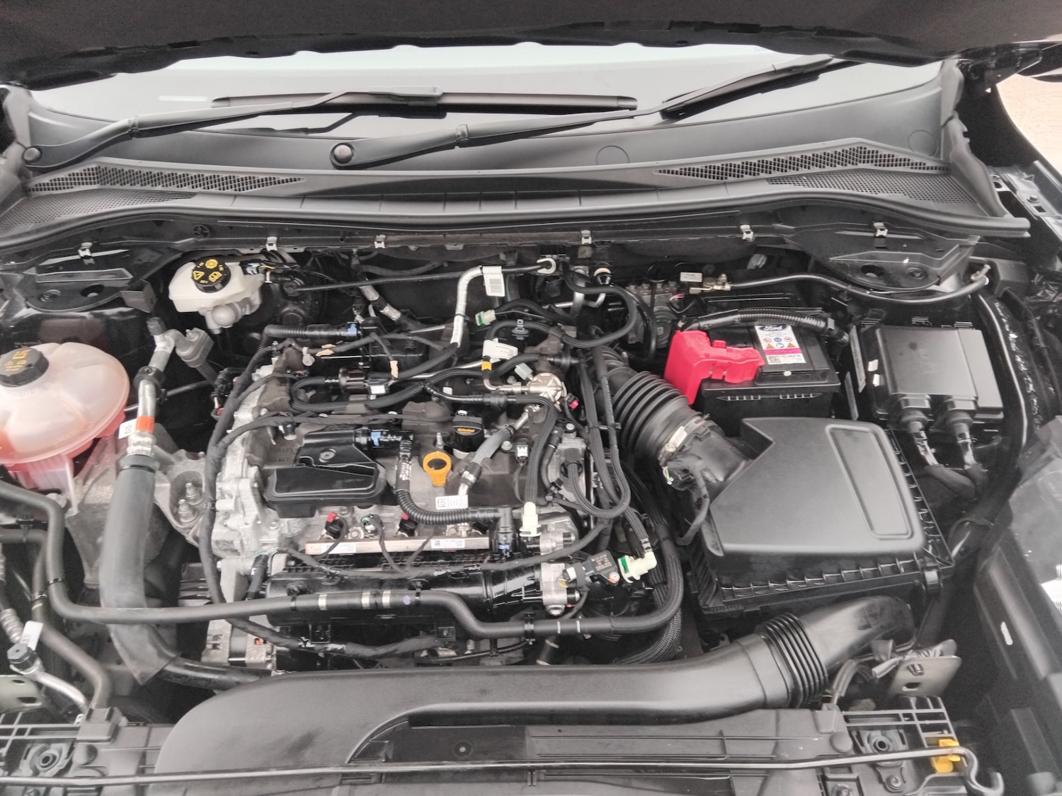 Used Ford Kuga 2022 for sale - 77311504: Photo 33