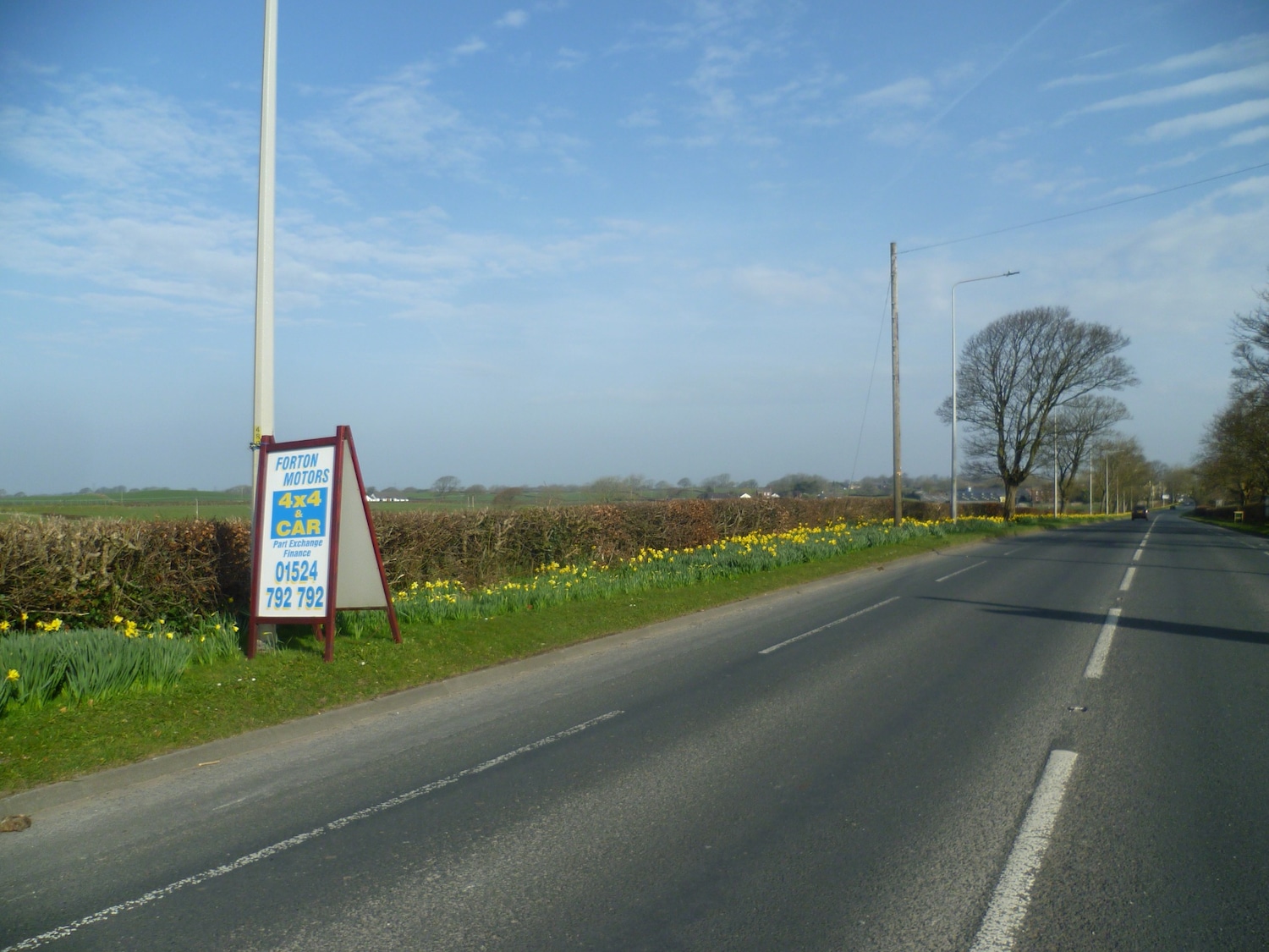 Used Ford Kuga 2022 for sale - 77311504: Photo 37